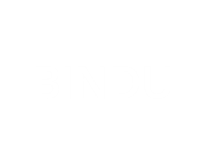 BINDU_LOGO (Small)